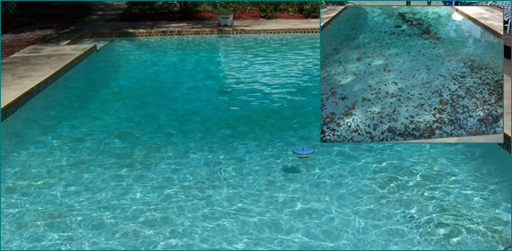 Pool Service Oviedo, Fl